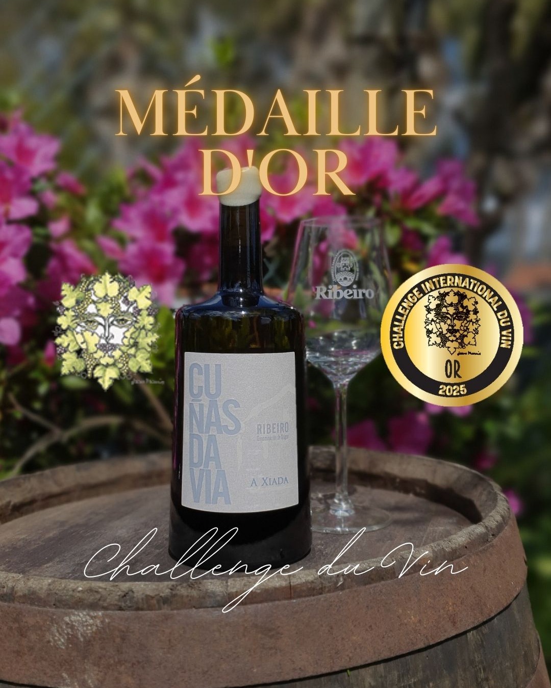 medalla de oro challenge du vin cuñas davia 2025